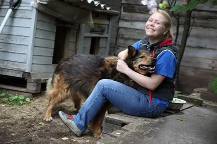 Rangsor a legjobb állatmenhelyek, ahol a kutyák és a macskák jó (a legjobb) Rangsor a legjobb állatmenhelyek, ahol a kutyák és a macskák jól