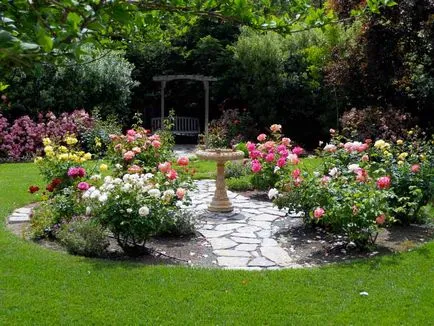 Roses kerttervezés