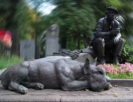 Óriás schnauzer fotó, ár, fajta leírás, képességgel, video - én watchdog