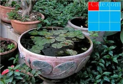Kert feng shui, hogyan kell lefolytatni rendezési a kertben