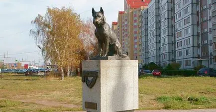 A leghíresebb műemlékek szentelt a kutyák, snupiki - helyszínen a kutyák