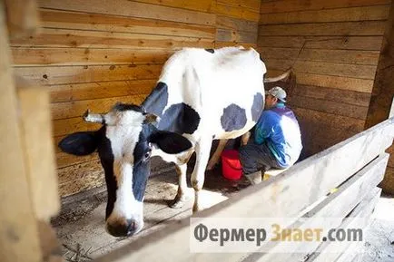 Istálló tehenek a kezüket, különösen az építőipari eszközök (tehén) Istálló tehenek kezük különösen építésére és felszerelésére