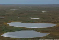 Észak-Magyarország életében rénszarvastenyésztők a tundrán (rénszarvas „Harp” brigád) Észak-Magyarország életében rénszarvastenyésztők a tundrán