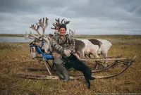 Észak-Magyarország életében rénszarvastenyésztők a tundrán (pásztorok) Észak-Magyarország életében rénszarvastenyésztők a tundrán