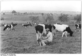Mezőgazdaság - az