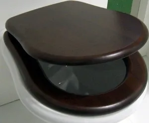 WC-ülőke emelő emelő vagyis a WC-ülőke fedelét, és hogyan kell rögzíteni a lámpatest (emelő) WC-ülőke emelő emelő vele, WC-ülőke fedelét és hogyan erősít beszerelést