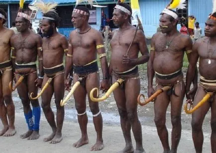 Megdöbbentő hagyomány pápua akik megértik nem mindenki (Guinea Kotek) Megdöbbentő hagyomány pápua akik megértik nem mindenki
