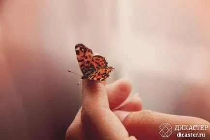 Butterfly, mint egy ember