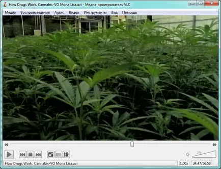 Hogyan megtekintéséhez mkv Hogyan megtekintéséhez mkv