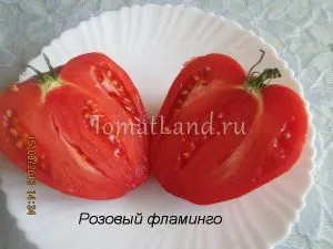 Rózsaszín fajta paradicsom (fajta) Rózsaszín fajta paradicsom