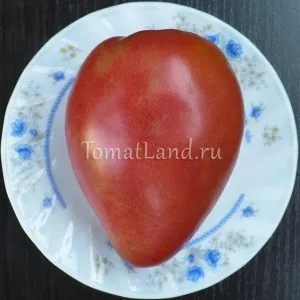 Rózsaszín fajta paradicsom (rózsaszín) Rózsaszín fajta paradicsom