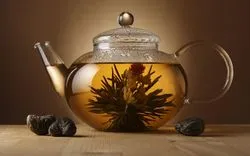 Törött tea trágyaként - hogyan kell használni a tea főzet növények