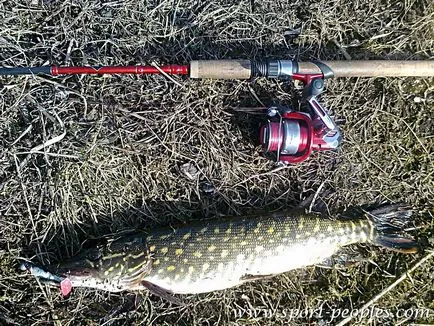 Sporthorgászat 1