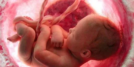Az érettségi fokától a méhlepény heti chart (placenta) Az érettségi fokától a méhlepény hétre chart