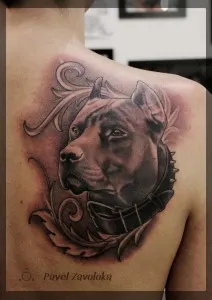 Tetoválás kutyák (érték, vázlatok, fényképek), tattoofotos