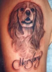 Tetoválás kutyák (érték, vázlatok, fényképek), tattoofotos