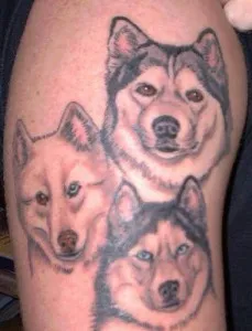 Tetoválás kutyák (érték, vázlatok, fényképek), tattoofotos