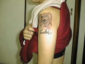 Tetoválás kutyák (érték, vázlatok, fényképek), tattoofotos
