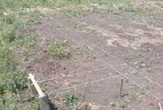 Greenhouse fából kezüket - rajzok és fotók