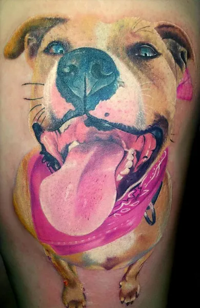 Tattoo kutya - ami azt jelenti, tetoválás vázlatok és fényképek