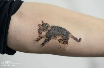Cat tetoválás Női 100 legszebb lehetőségek fotó