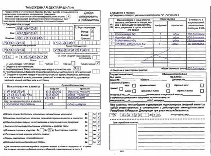 Customs (határ) ellenőrzés a repülőtéren folyosón, kitöltve a nyilatkozatot (töltelék) Customs (határ) ellenőrzés a repülőtéren folyosón, töltő Nyilatkozat