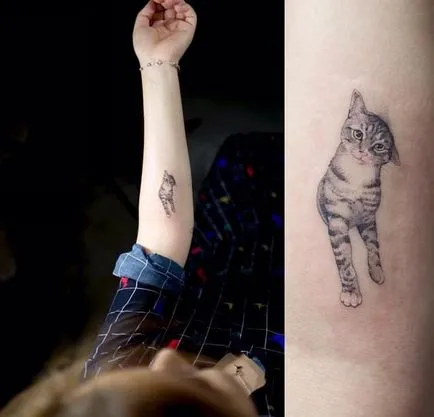 Cat tetoválás Női 100 legszebb lehetőségek fotó
