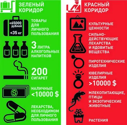 Customs (határ) ellenőrzés a repülőtéren folyosón, kitöltve a nyilatkozat (Nyilatkozat) Customs (határ) ellenőrzés a repülőtéren folyosón, töltő Nyilatkozat