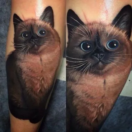 Cat tetoválás Női 100 legszebb lehetőségek fotó