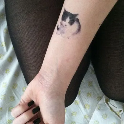 Cat tetoválás Női 100 legszebb lehetőségek fotó