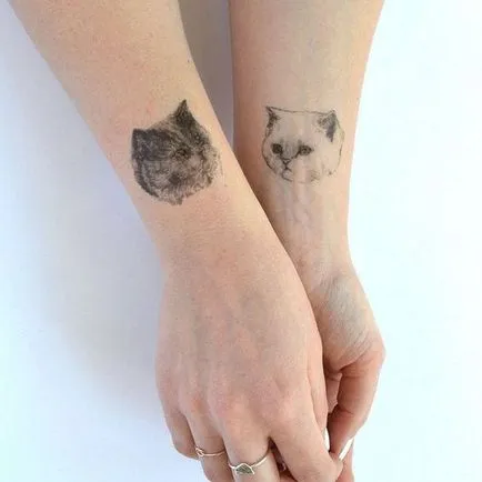 Cat tetoválás Női 100 legszebb lehetőségek fotó