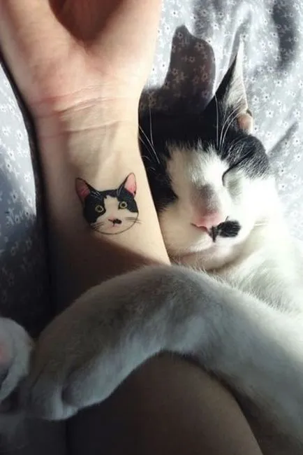 Cat tetoválás Női 100 legszebb lehetőségek fotó