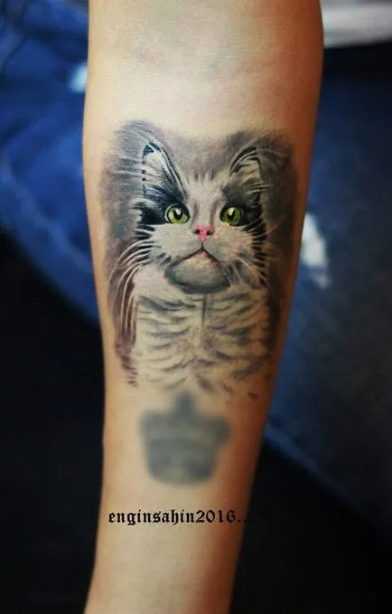 Cat tetoválás Női 100 legszebb lehetőségek fotó