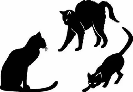 Stencil macska a falon