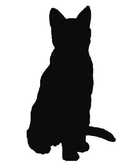 Stencil macska a falon