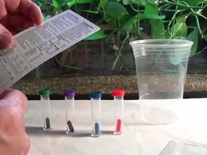 Trágyák akváriumi növények saját kezűleg (több liter víz) Trágyák akváriumi növények saját kezűleg