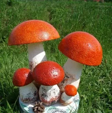 Telek dekoráció gomba, saját kezűleg, a mester osztály, fotó, videó