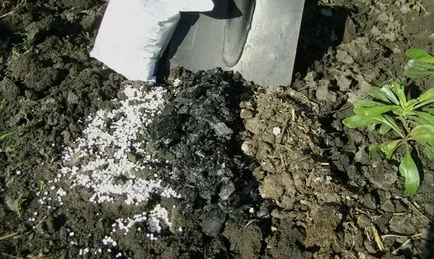 Műtrágya-nitrát - az ammónium és kálium-trágyázás videó