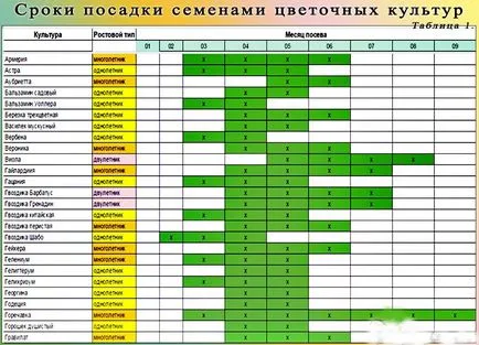 Kültéri virágcserepek a kezüket, hogyan kell csinálni (make) Kültéri virágcserepek a kezüket, hogyan lehet