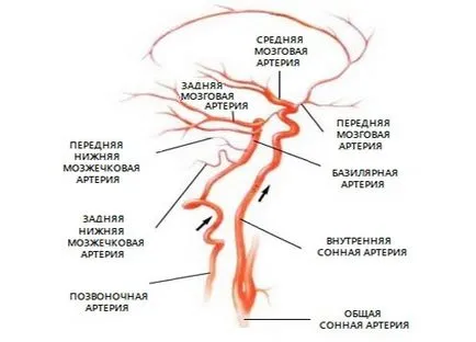 Doppler ultrahang hajók a fej és nyak, jelezve, hogy ez az ár