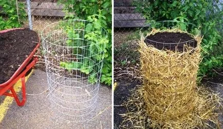 Burgonya termesztése egy hordóban a nyaraló (burgonya) Burgonya termesztése egy hordóban a nyaraló