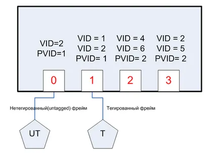 VLAN VLAN