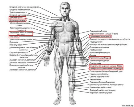 A kimeneti feszültség egy (két) kézzel technika, amely az izmok dolgoznak, hogyan kell tanulni, hogy nem