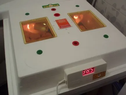 Minden az inkubációs tojás inkubációs, technológia, fotó és videó felülvizsgálat