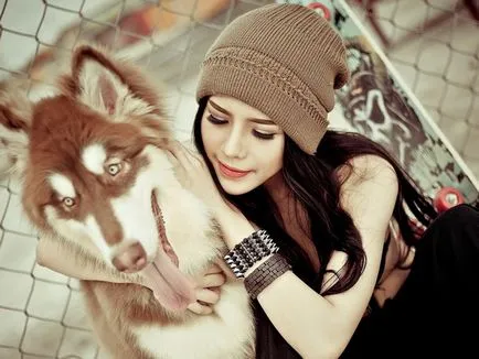 Character szibériai husky és leírás (leírás) A természet és a leírást a szibériai husky