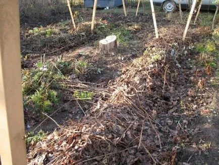 A második élet a lehullott levelek