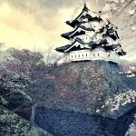 Japán cseresznyefa történet, leírás és képek (Sakura) Japán cseresznyefa történet, leírás és képek