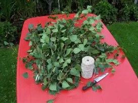 Betakarítás nyírfa vesszőből a fürdő - útmutató és tippek! (Instruction) Betakarítás nyírfa vesszőből a fürdő - útmutató és tippek!