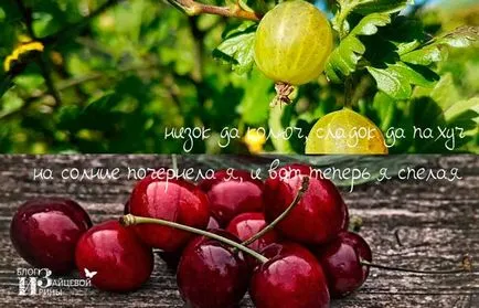Talányok a nyári óvodáskorú és iskolás gyermekek a választ, blog Iriny Zaytsevoy (nyáron) Talányok a nyári óvodáskorú és iskolás gyermekek a választ, blog Iriny Zaytsevoy