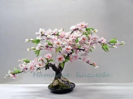 Japán cseresznyefa történet, leírás és képek (Sakura) Japán cseresznyefa történet, leírás és képek